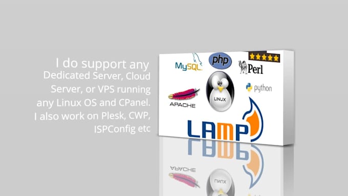 provide expert technical support for linux hosting servers