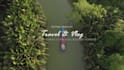 do professional social media, travel vlog video editor