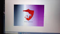 create professional  logo design in just 6 hours for you