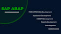 do sap abap development and support