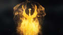 create 3 amazing phoenix fire logo animation intro