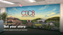 create a custom large format mural illustration