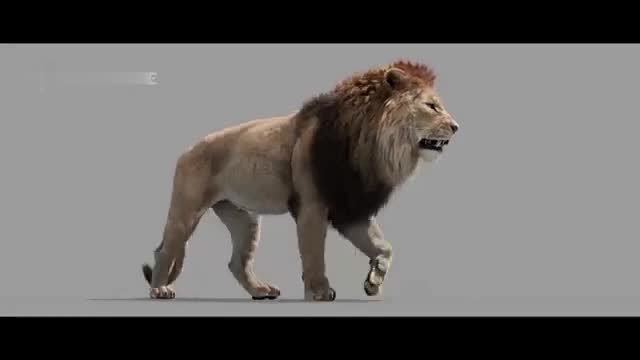 create realistic vfx compositing, 3d animal model, visual effect, cgi integrate