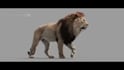 create realistic vfx compositing, 3d animal model, visual effect, cgi integrate