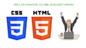 fix html,css and javascript issues