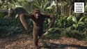 add logo and text in funny monkey dance video
