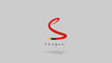 produce a custom logo animation fast
