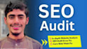 professional SEO expert for website audit and site audit