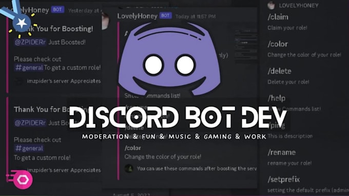 develop a high quality bot discord for you