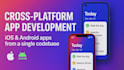 develop a cross platform mobile app