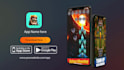 create app and website preview promo video in 12 hours
