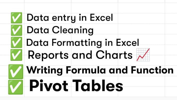 provide data cleaning and formatting with accuracy in excel