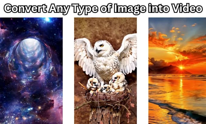 animate your photos into motion with image animation