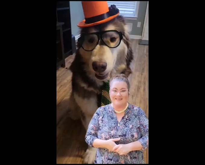 create engaging ugc pet videos