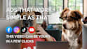 deliver this funny office dogs ad for tiktok reels or shorts