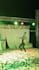 make a dance choreography on your song