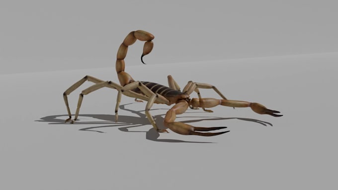 do professinal 3d animation in maya and blender