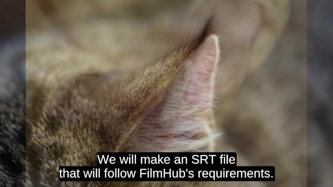 add synced filmhub compliant sdh captions in english