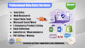 do data entry, excel works, web research, mining, scraping