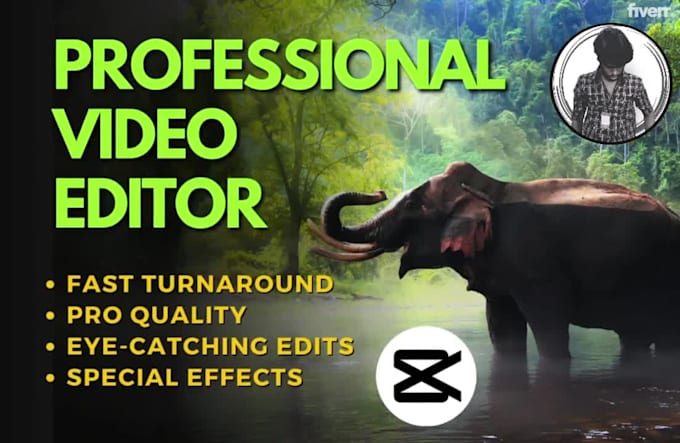 do professional youtube video editing within 24 hours