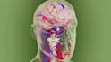 do 3d medical or technical 3d animation, 3d anatomy video 3d animation