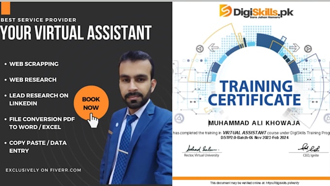 be your virtual assistant and data entry specialist