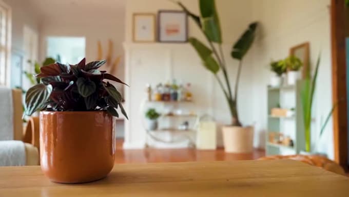 edit your real estate video or commercial in 24h