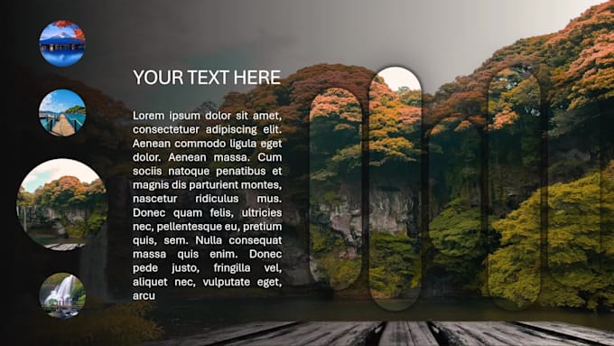 offer professional presentation design solutions