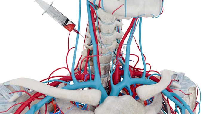 create professional 3d medical, anatomy, surgical and healthcare animatio