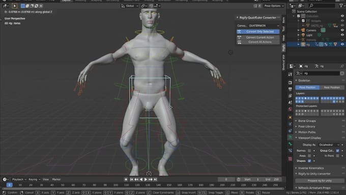 rig character with facial expressions in blender