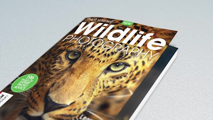 Top 10! I will create your book and magazine promo video  for $30