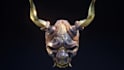 create high fidelity 3d models textures and renders