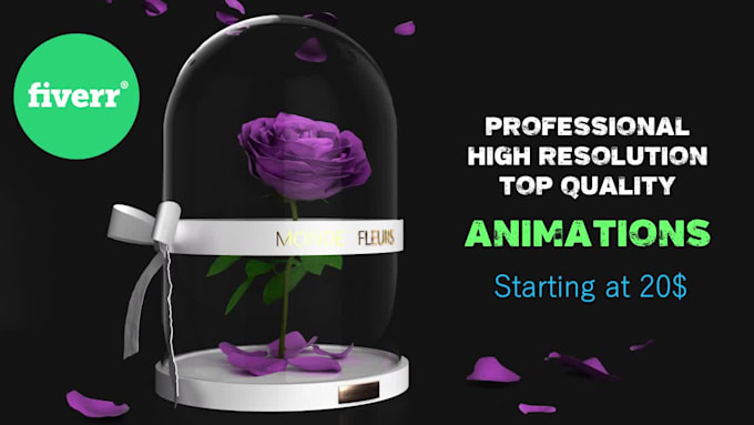 produce a professional explainer animation