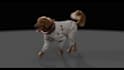 create and animate realistic 3d animal animation for film integration, vfx