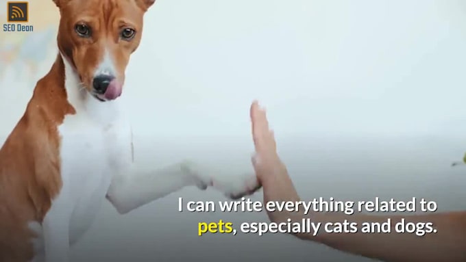 write articles for pet blog, animal care, dog training