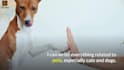 write articles for pet blog, animal care, dog training