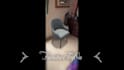make any ar, VR, app, simulator, game, tryon or filter