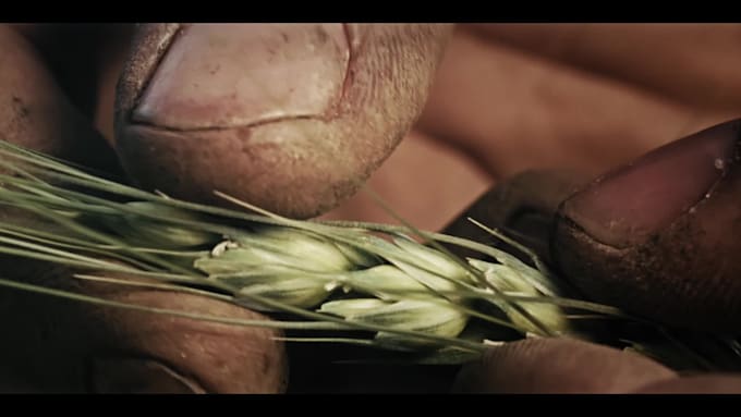 provide premium color grading for films, ads and commercials