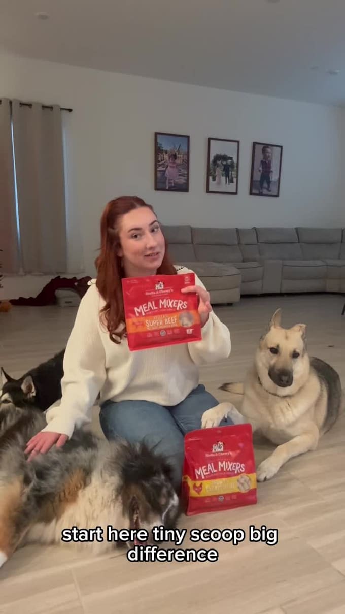 create fun, relatable dog ugc short form ads for your pet brand