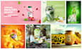 make shopify banner, product composition and product manipulation