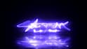 create a custom neon logo animation intro