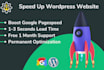 speed up wordpress website within a day
