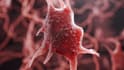 create 3d medical animation, medical video, 3d medical animation video