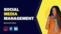 be your social media marketing manager and content creator