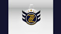 provide luxury typography business logo design service