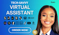 be your professional virtual assistant, data entry, emails