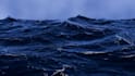 create animated background video loops for websites and video content