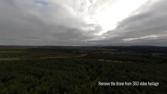 remove the drone from your 360 videos