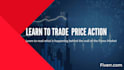 teach profitable forex trading price action strategy
