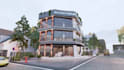 design house exterior model, 3d rendering, walkthrough